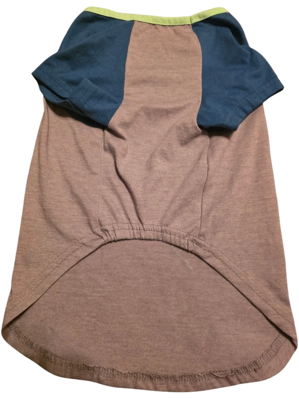 I'm Down Dog Graphic Dog Tee - Grey with Blue & Lime Trim